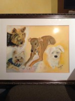 /album/galerie-photos/a702624-460871690645874-890350840-n-1-jpg/